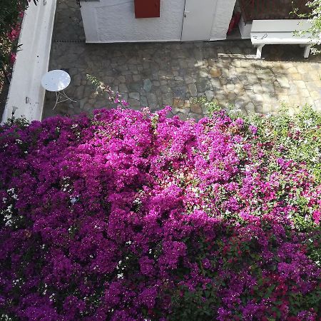 Villa Mikra Asia Poros Town Exterior foto