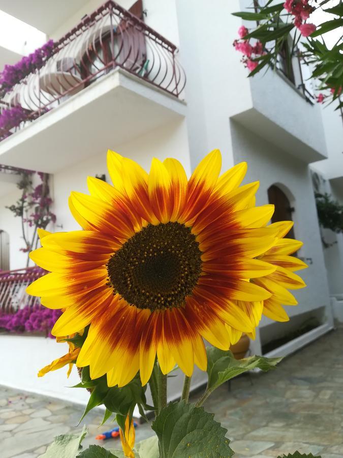 Villa Mikra Asia Poros Town Exterior foto